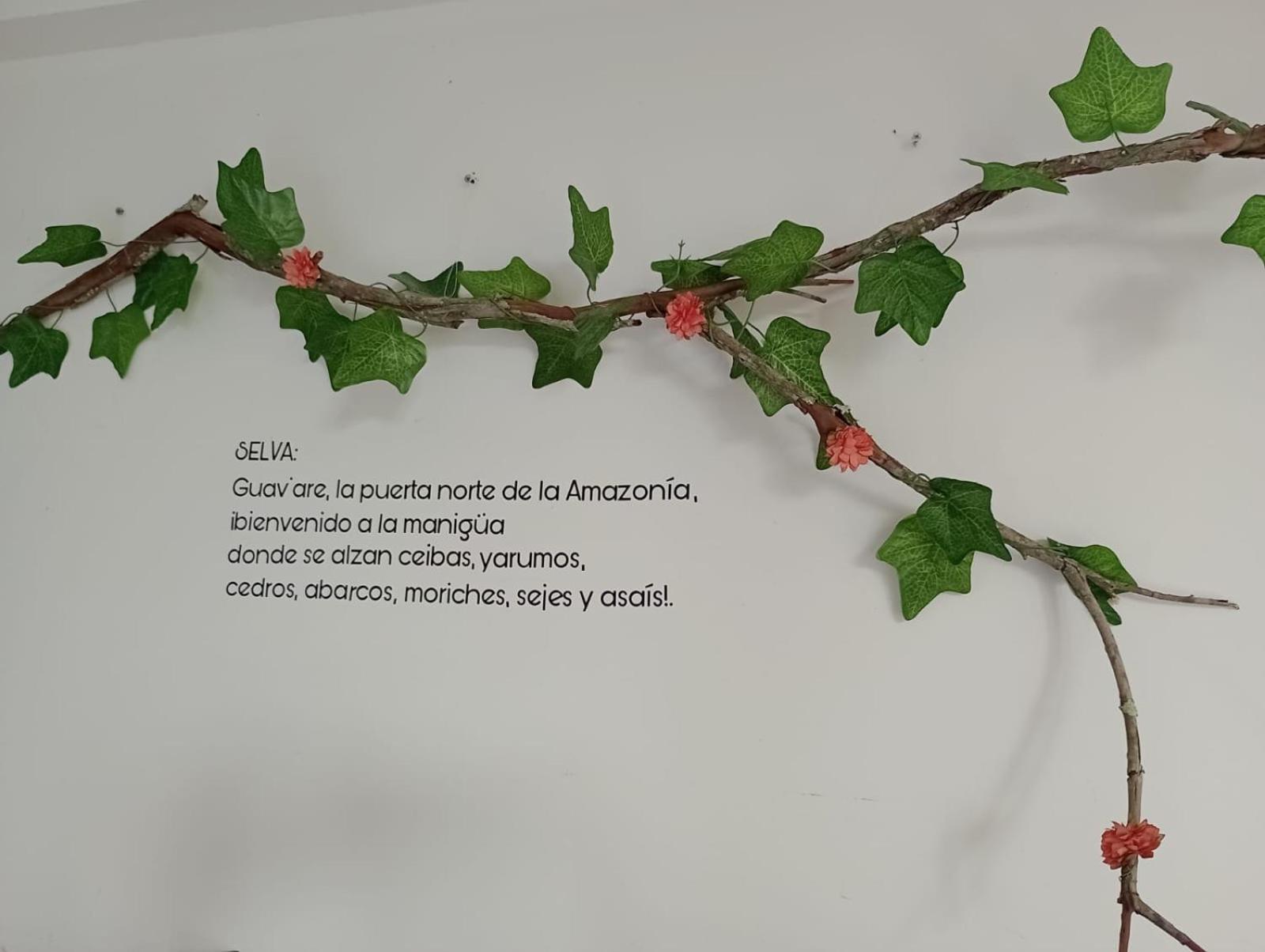 Alojamiento Rural Entre El Llano Y La Selva San José del Guaviare 外观 照片