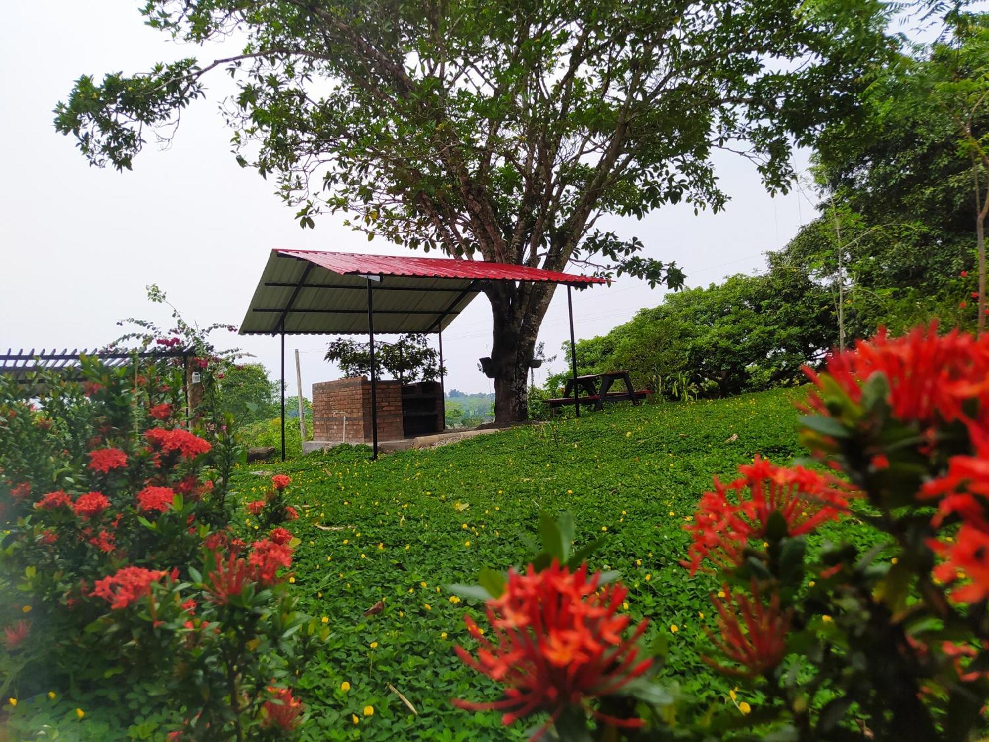 Alojamiento Rural Entre El Llano Y La Selva San José del Guaviare 外观 照片